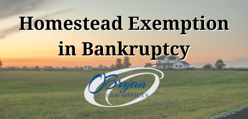 homestead exemption in bankruptcy